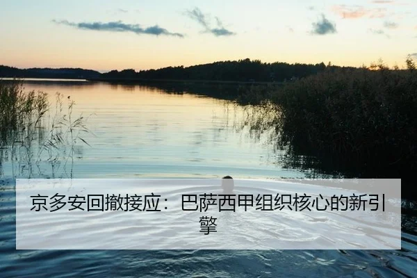 jing-duo-an-hui-che-jie-ying-ba-sa-xi-jia-zu-zhi-he-xin-de-xin-yin-qing-2-706.jpg