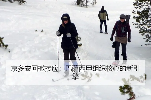 京多安回撤接应：巴萨西甲组织核心的新引擎