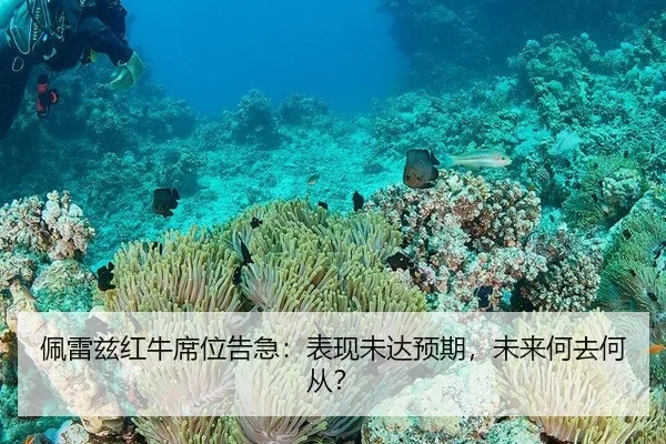 佩雷兹红牛席位告急：表现未达预期，未来何去何从？