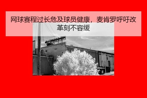 网球赛程过长危及球员健康，麦肯罗呼吁改革刻不容缓
