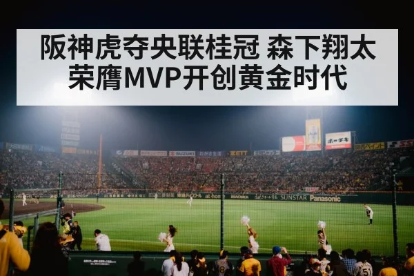 japanese baseball stadium
